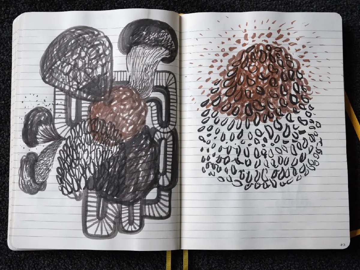 Ink brush drawings.
